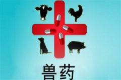 獸藥屬于藥品嗎？獸藥與人用藥的區(qū)別是什么？