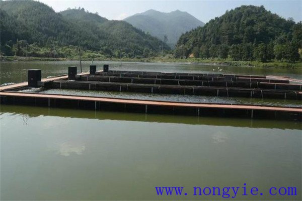 科學(xué)使用藥物，預(yù)防疾病發(fā)生
