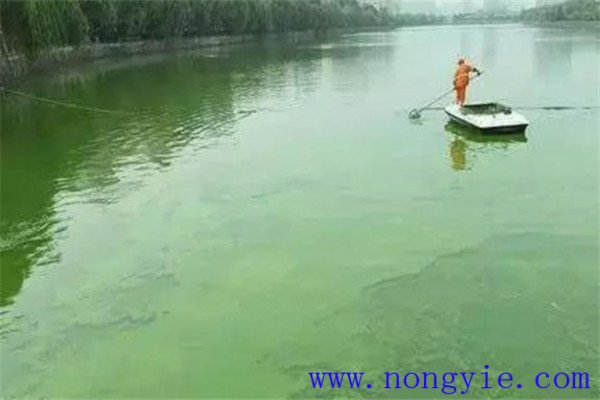 調(diào)，即調(diào)節(jié)水質(zhì)