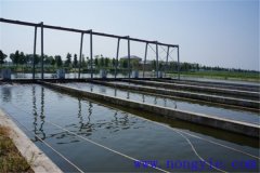 現(xiàn)代池塘養(yǎng)魚的生產(chǎn)與經(jīng)營(yíng)特點(diǎn)是什么？