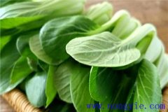上海青是什么菜？上海青種植時(shí)間和方法
