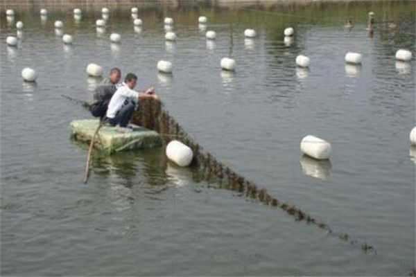 河蟹質量和數量要求