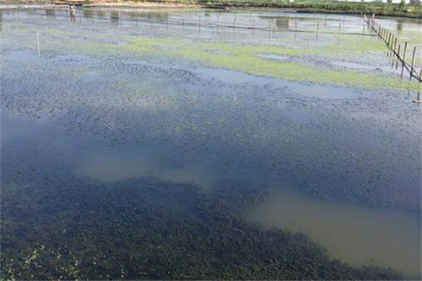增加溶氧，促進(jìn)有機(jī)物氧化分解