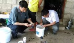 魚病治療中的發(fā)現(xiàn)、送診、用藥問(wèn)題