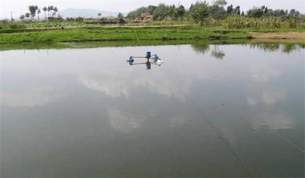 養(yǎng)魚池塘溶氧的來(lái)源和消耗途徑