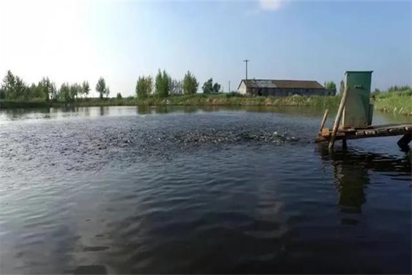 魚(yú)池面積、水深和底質(zhì)