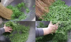 毛尖茶手工制作的具體步驟和方法是什么？