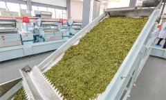 扁形名優(yōu)綠茶機(jī)械加工的具體方法是什么？