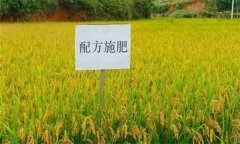 什么是配方施肥技術(shù)，配方施肥應(yīng)遵循哪些原理