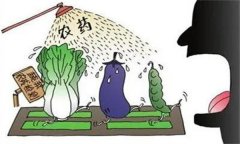 農(nóng)藥“安全、經(jīng)濟、有效”的使用原則