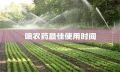 農(nóng)藥用藥時間問題：適時用藥是關(guān)鍵！