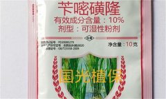 芐嘧磺隆的作用機制、使用方法與注意事項