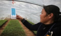 溫度對農(nóng)作物生長發(fā)育的影響有哪些方面？
