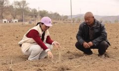 合理施肥的目標(biāo)與技術(shù)要點有哪些？