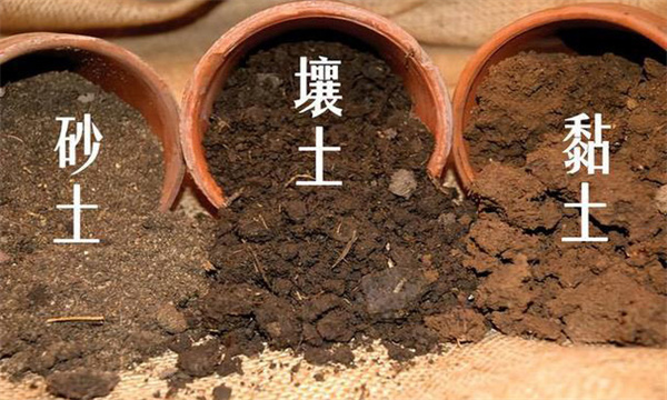 土壤質地分類