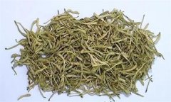 如何科學(xué)飲用金銀花茶？需注意哪些事項？