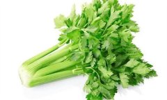 芹菜有何營養(yǎng)價(jià)值，多吃芹菜有哪些好處？