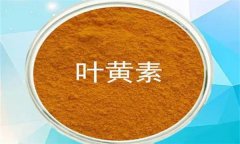 什么是葉黃素？哪些蔬菜富含葉黃素？
