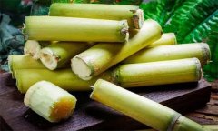 如何選購(gòu)、儲(chǔ)存甘蔗？食用甘蔗應(yīng)注意事項(xiàng)