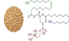 大豆異黃酮對(duì)人體有什么好處 什么食物含量多？