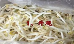 如何挑選豆芽？有根豆芽與無(wú)根豆芽有什么區(qū)別