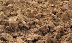土壤肥力失衡、土壤質(zhì)量下降、土壤酸化怎么辦